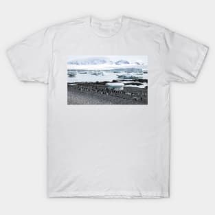 Gentoo penguins at Brown Bluff T-Shirt